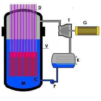 Boiling Water Nuclear Reactor (BWR)
