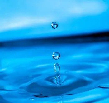Surface tension: definition, formula, examples and experiment
